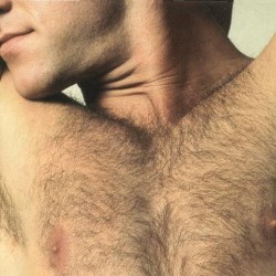 INBRIEF3_1