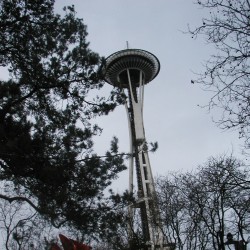 SeaNeedle02-001