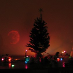 around-tree003
