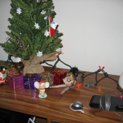 around-tree001