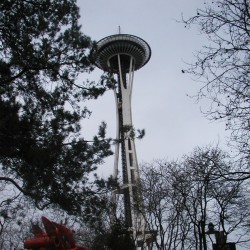 SeaNeedle02-002